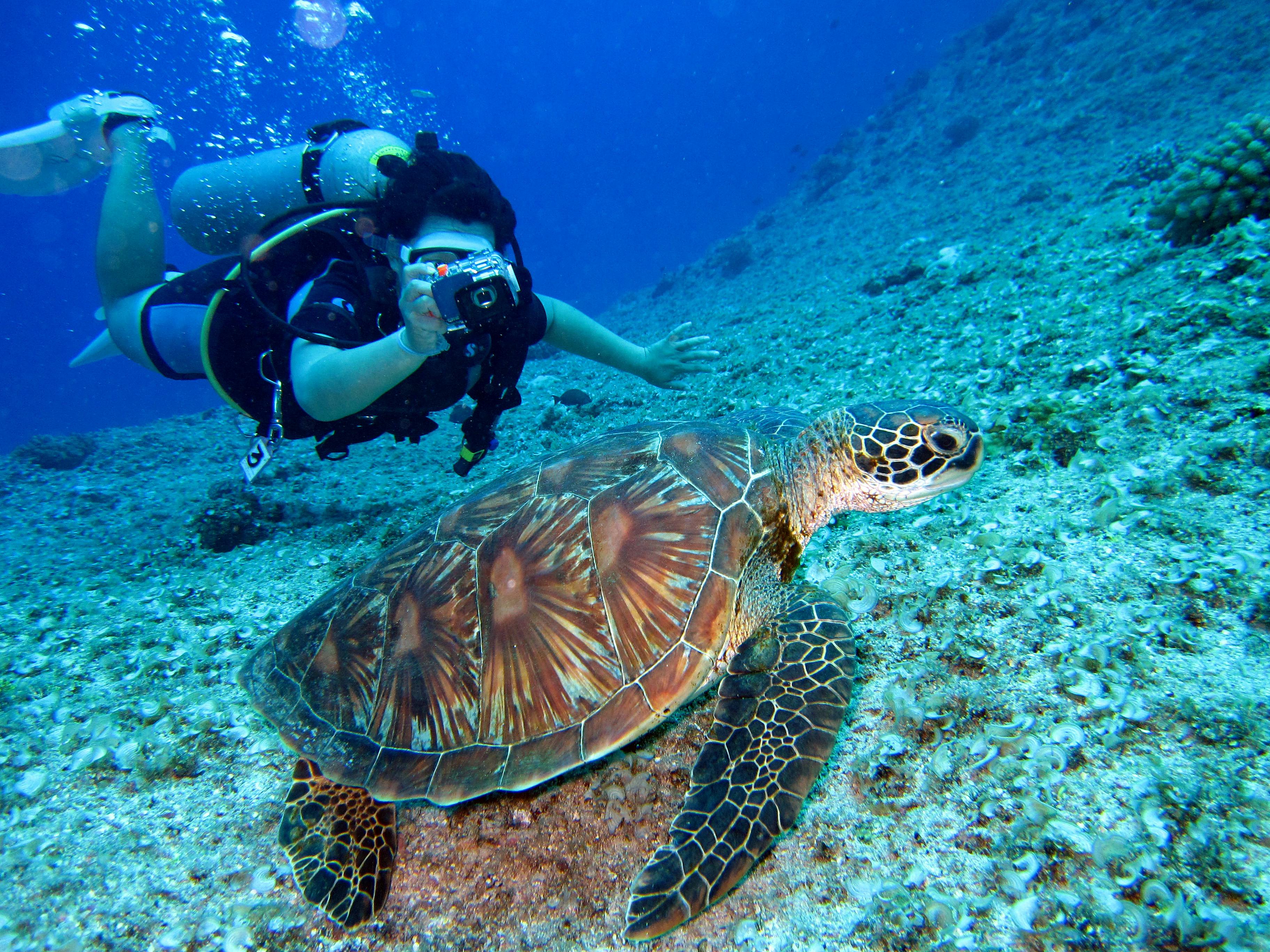 Lakshadweep Diving